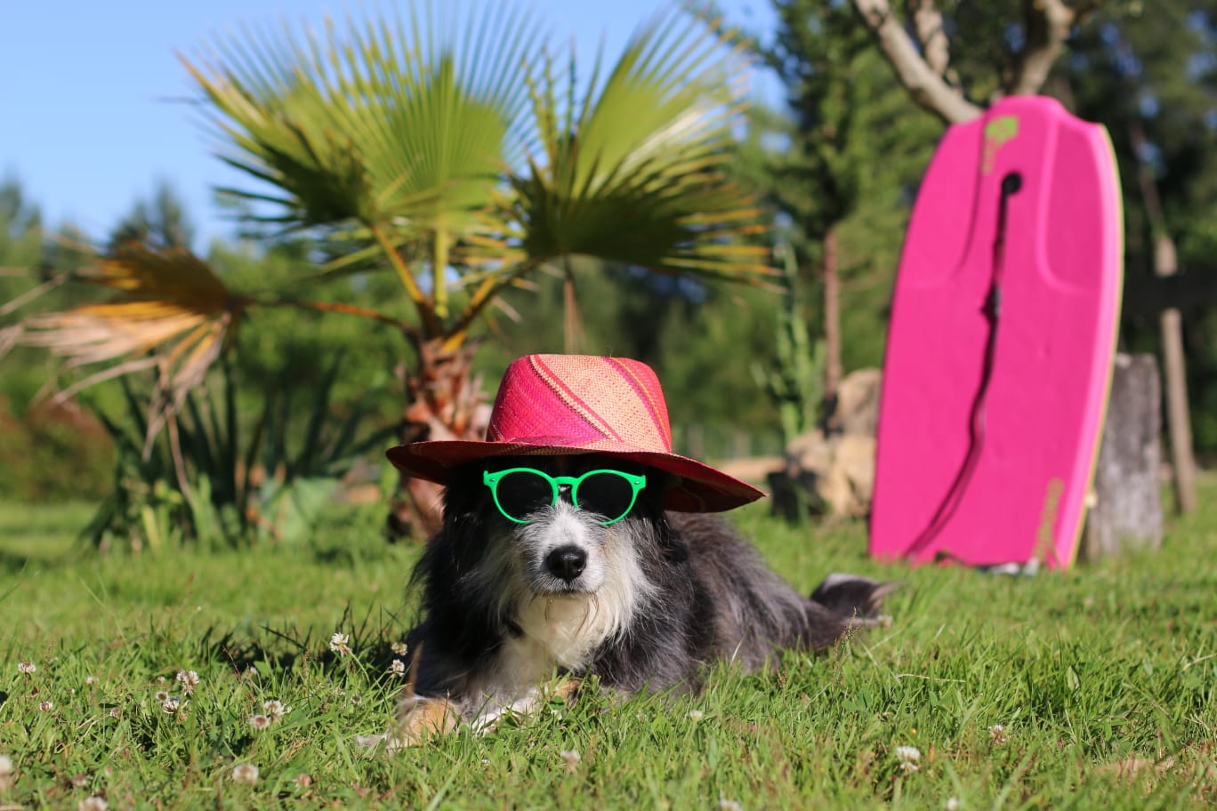 Cromignon, un concept unique en Dordogne