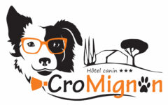 Hôtel Canin, Félin*** & Visites à Domicile