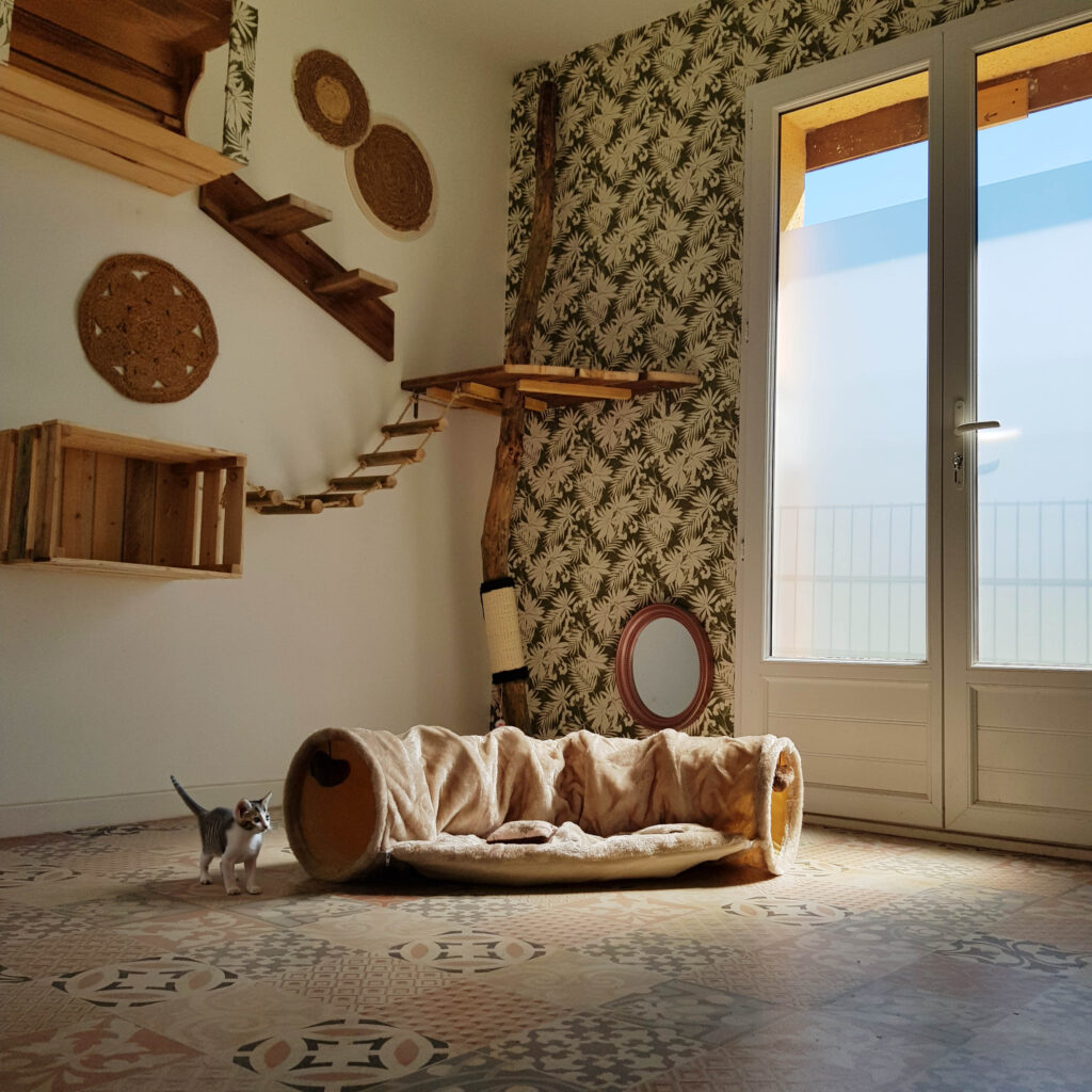 Intérieur de la pension féline Cromignon en Dordogne, proche de Bergerac.